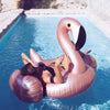 Bouée Flamant Rose Dorée Géante - Boueelicorne.com